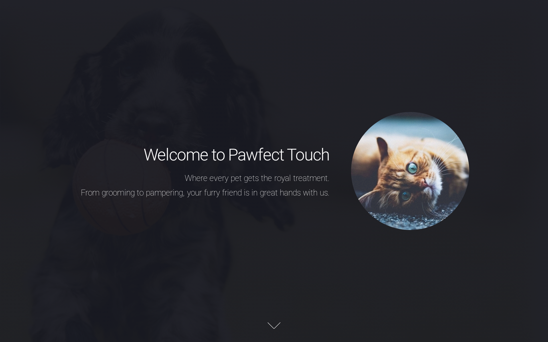 Screenshot of Pawfect Touch