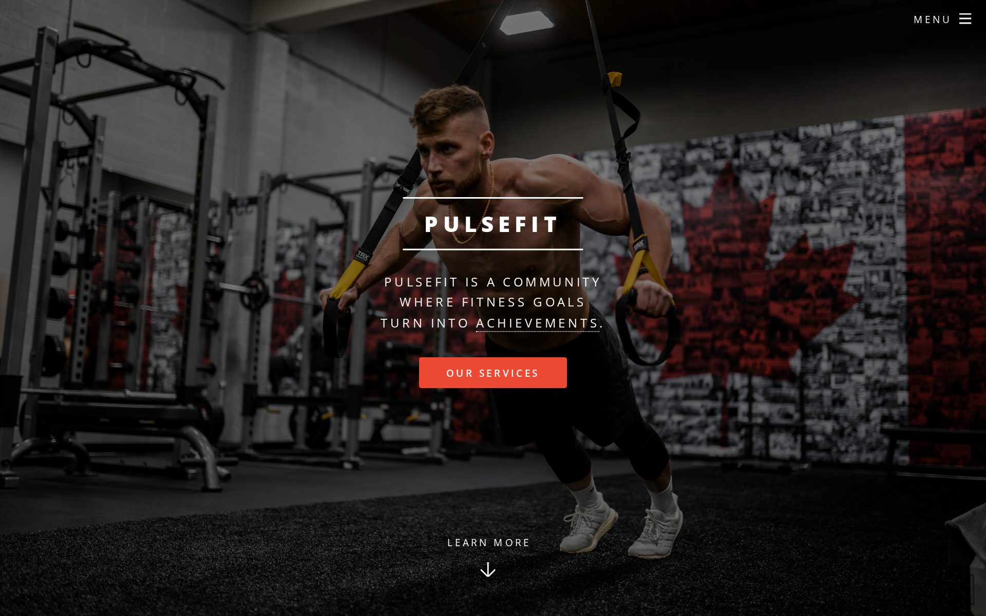 Screenshot of PulseFit